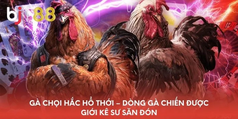 ga-choi-hac-ho-thoi-dong-ga-chien-duoc-gioi-ke-su-san-don