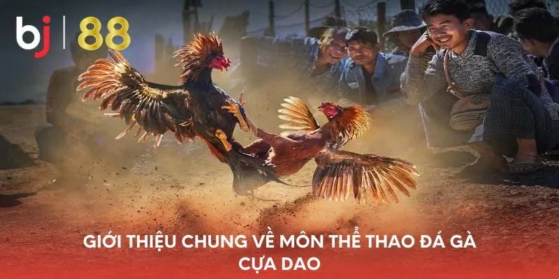 gioi-thieu-chung-ve-mon-the-thao-da-ga-cua-dao