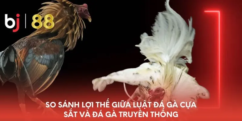 so-sanh-loi-the-giua-luat-da-ga-cua-sat-va-da-ga-truyen-thong