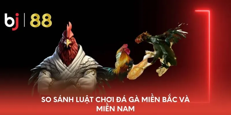 so-sanh-luat-choi-da-ga-mien-bac-va-mien-nam