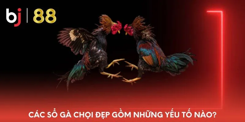 cac-so-ga-choi-dep-gom-nhung-yeu-to-nao