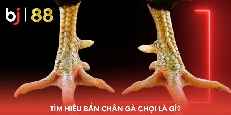 tim-hieu-ban-chan-ga-choi-la-gi